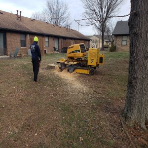 stump grinding contractors