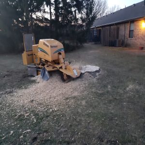 tree stump grinding