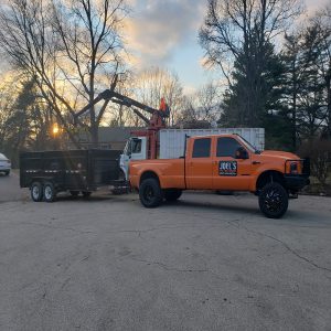 Joels pro tree service best ohio arborists for tree cutting and trimmin and removal
