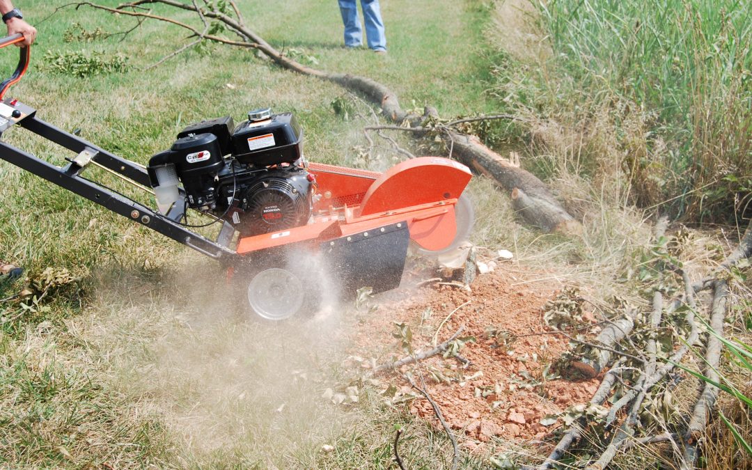 The Pros and Cons of Stump Removal vs. Stump Grinding